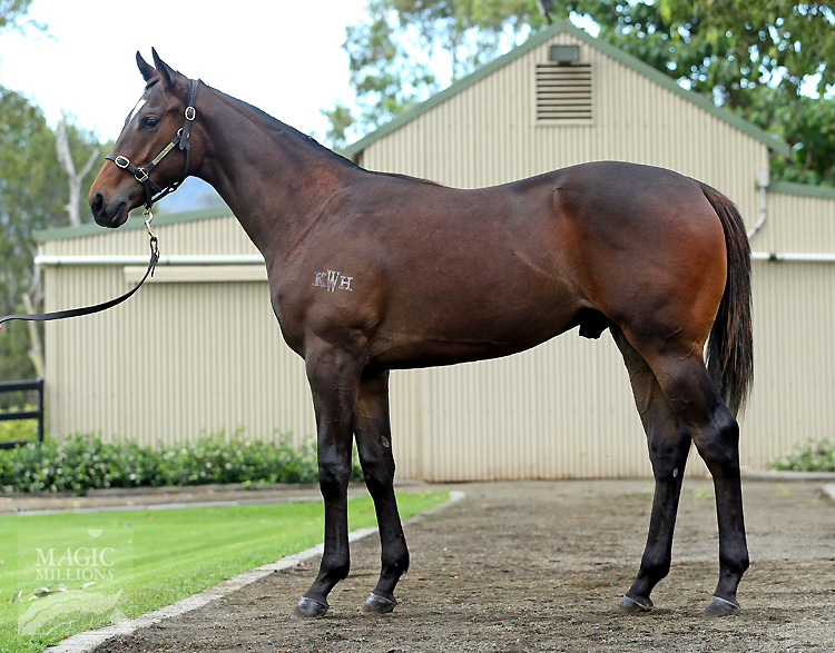 Duporth (AUS) / Baby Boom (AUS) - photo 1