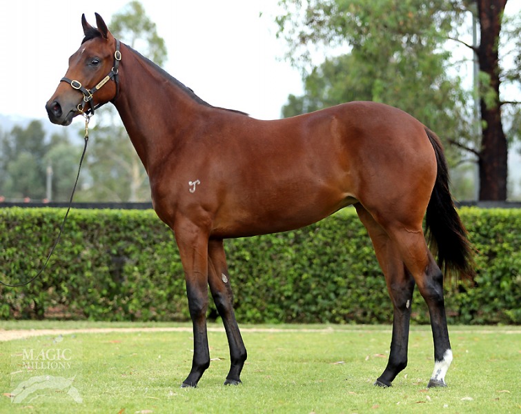 I Am Invincible (AUS) / Cathead (AUS) - photo 1