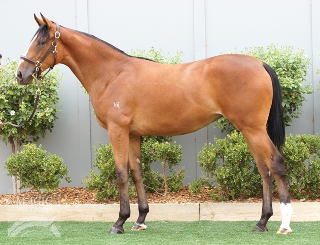 Bullet Train (GB) / Coogee Beach (AUS) - photo 1