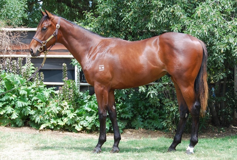 Al Maher (AUS) / Cut And Run (AUS) - photo 1