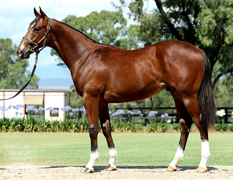 Stratum (AUS) / Discretion (AUS) - photo 1