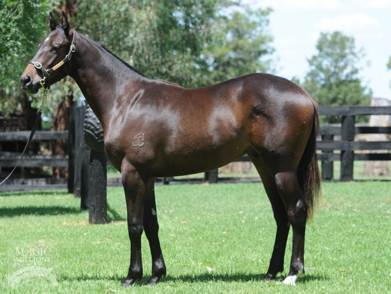 Congrats (USA) / Double One (AUS) - photo 1