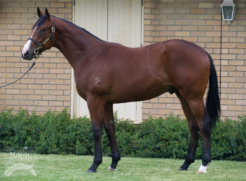 Harbour Watch (IRE) / Dubayy (AUS) - photo 1