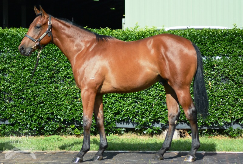 Rothesay (AUS) / Eloise (AUS) - photo 1