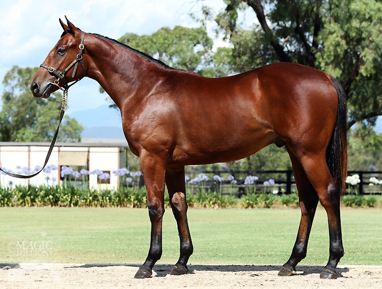 Pierro (AUS) / Emilydelago (AUS) - photo 1