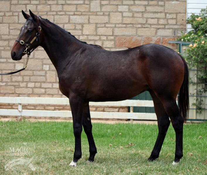 Rothesay (AUS) / Fantasy Gal (USA) - photo 1