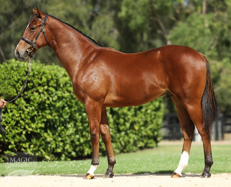 Choisir (AUS) / Folk Music (AUS) - photo 1