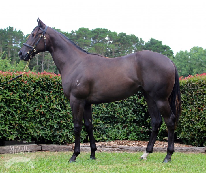 Pluck (USA) / Four My Girls (AUS) - photo 1