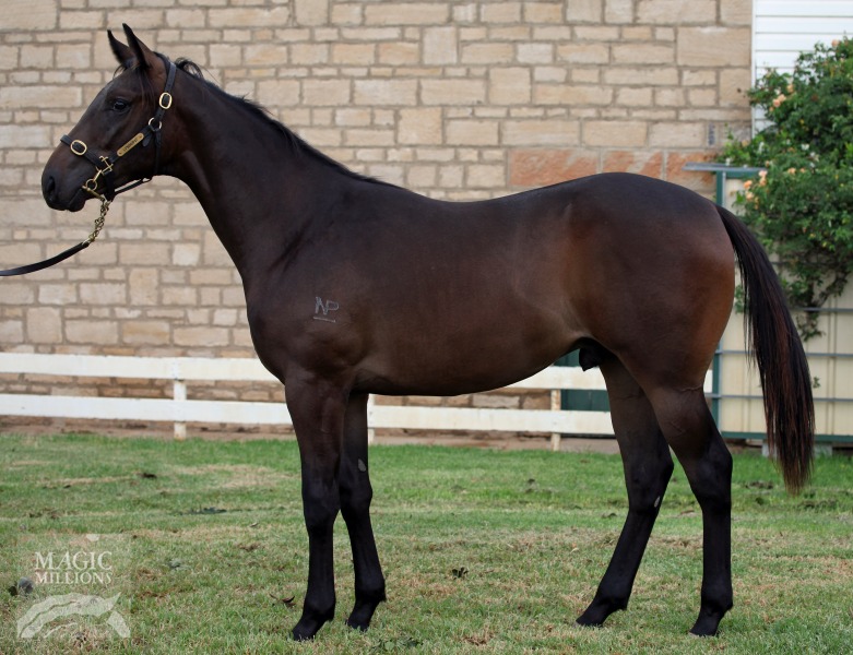 Smart Missile (AUS) / Hadavision (USA) - photo 1