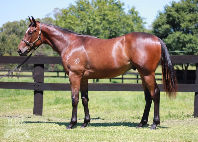 So You Think (NZ) / Healing Kiss (AUS) - photo 1