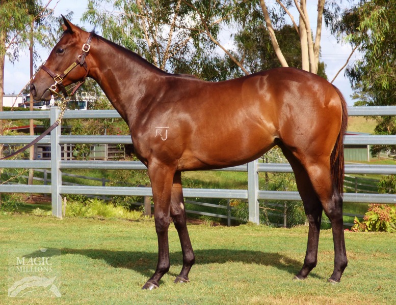 Black Mink (AUS) - photo 1