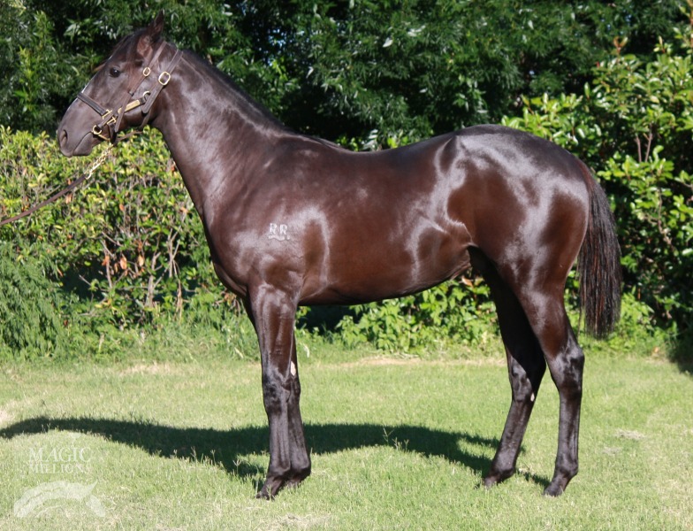 Love Conquers All (AUS) / Jessica's Hope (AUS) - photo 1