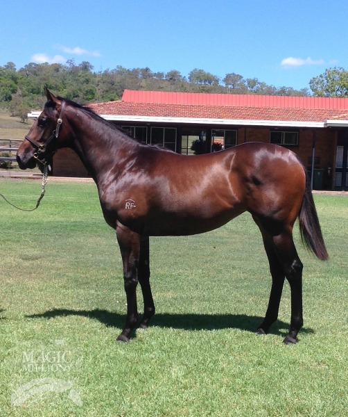 Monashee Mountain (USA) / Saran (AUS) - photo 1