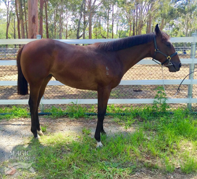 Eavesdropper (USA) / The Shipping News (AUS) - photo 1