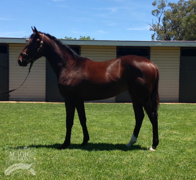 Warhead (AUS) / Winwin Situation (AUS) - photo 1