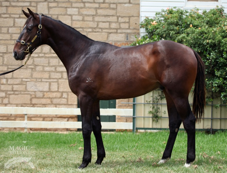 Drumbeats (AUS) / Coliape (AUS) - photo 1