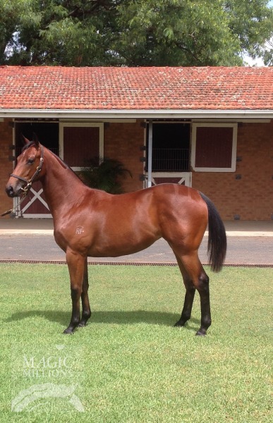 Dane Shadow (AUS) / Deltarara (AUS) - photo 1