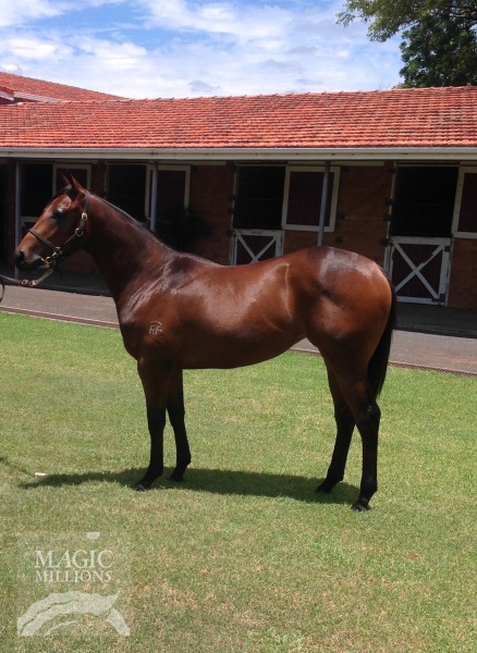 Moshe (AUS) / Metoka (AUS) - photo 1