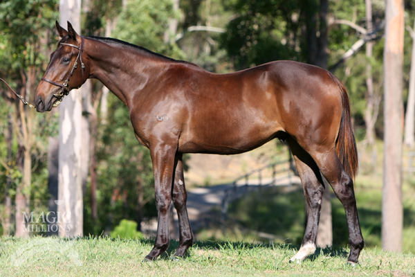 Rothesay (AUS) / Ovasia (AUS) - photo 1