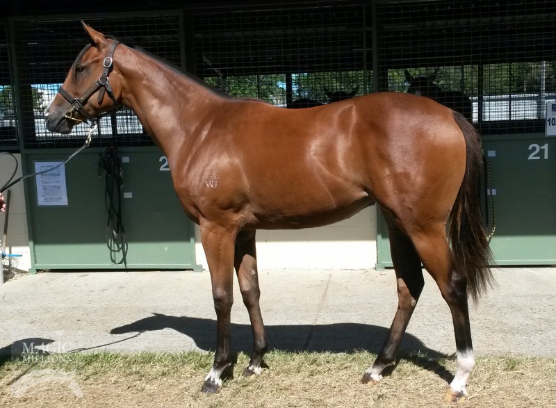 Time Thief (AUS) / Sister on the Edge (AUS) - photo 1