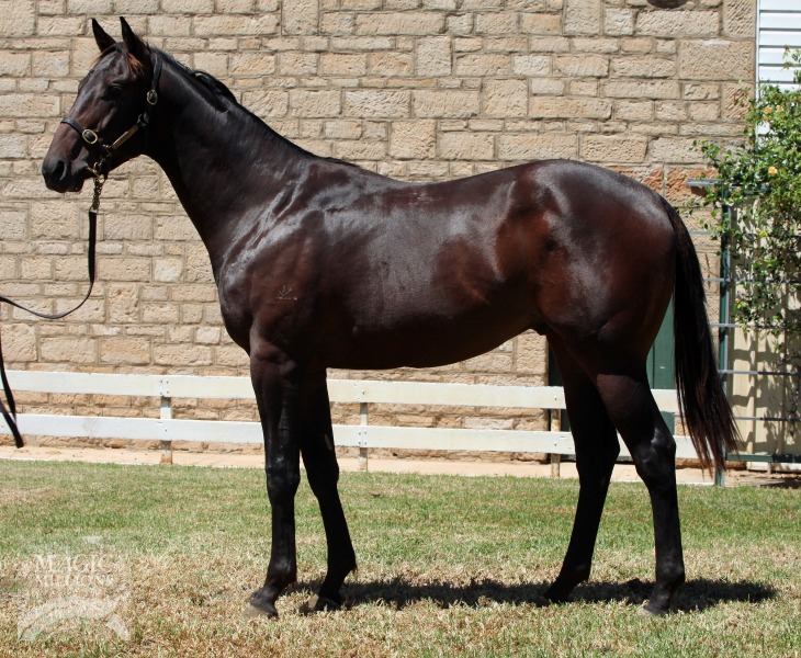 Sequalo (AUS) / Cenotime (AUS) - photo 1