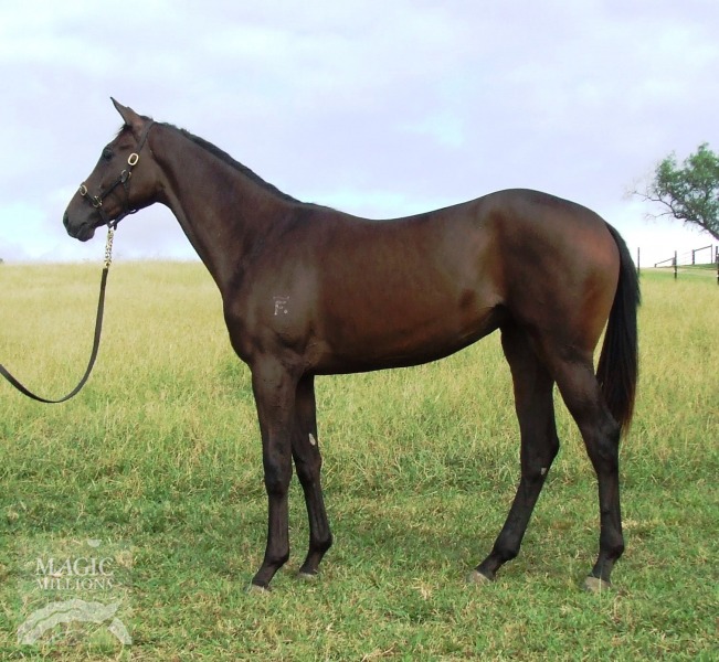 Rothesay (AUS) / Falcrest (NZ) - photo 1