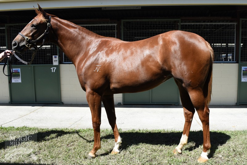 Show A Heart (AUS) / Furze (AUS) - photo 1