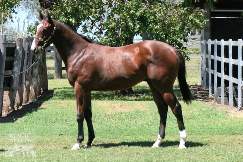 Tycoon Ruler (AUS) / Get a Life (AUS) - photo 1