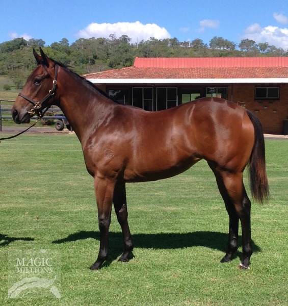 Easy Rocking (AUS) / Here No Tears (AUS) - photo 1