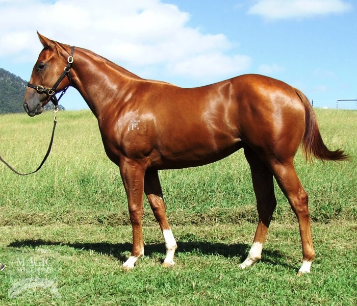 Show A Heart (AUS) / Inski Outski (AUS) - photo 1