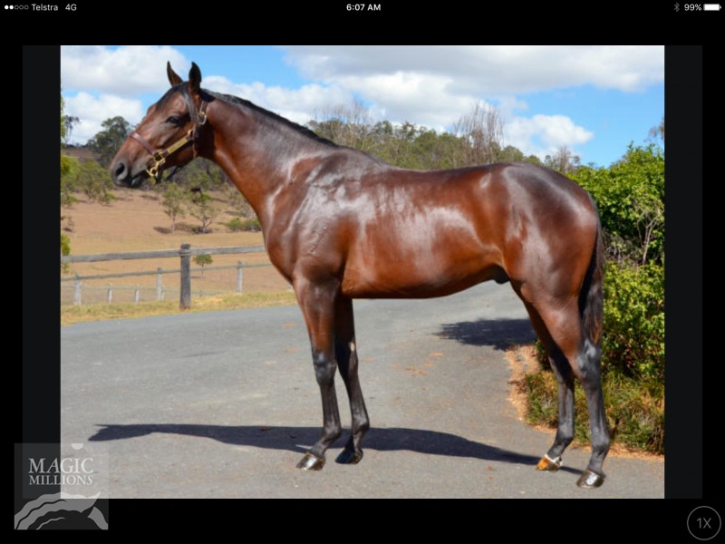 Rothesay (AUS) / Kalseru (AUS) - photo 1