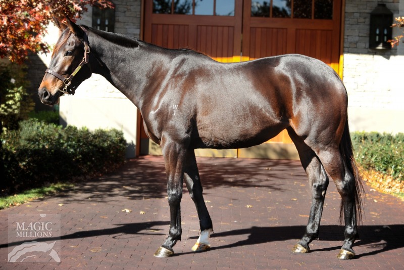 Insinuating (USA) - photo 1