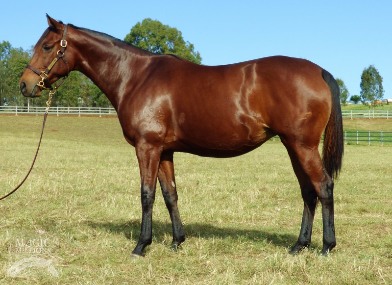 Milla Magia (AUS) - photo 1