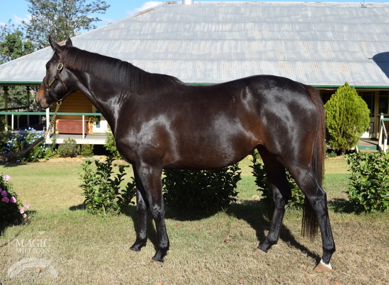 Silent Navigator (AUS) - photo 1