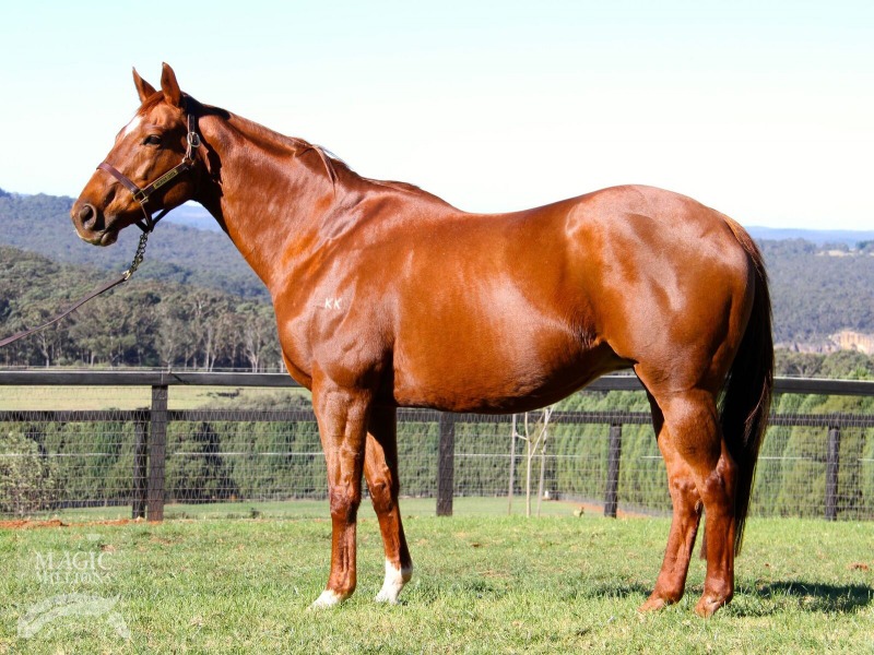 Throne Inn (AUS) - photo 1