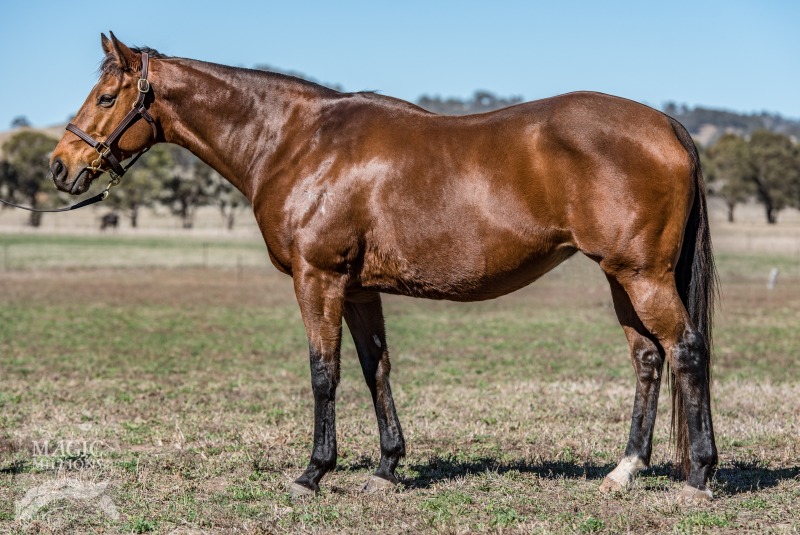 Tipsy Moment (AUS) - photo 1