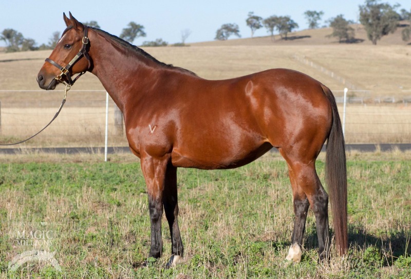 Trustam (AUS) - photo 1