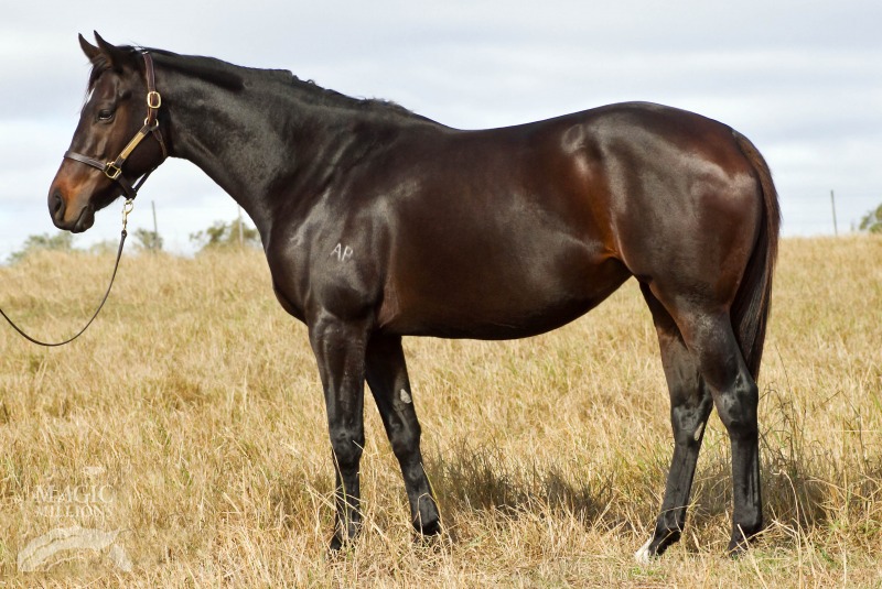 Why be Discreet (AUS) - photo 1