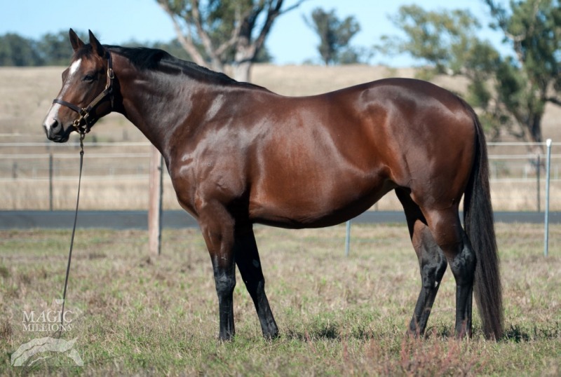 Zvonareva (AUS) - photo 1