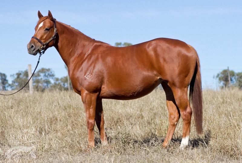 All Sewn Up (AUS) - photo 1