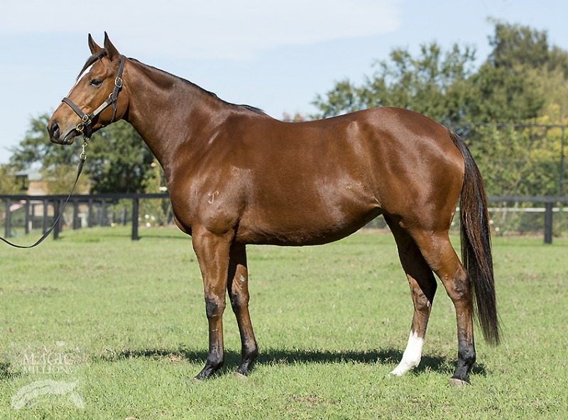 Fine Bubbles (AUS) - photo 1