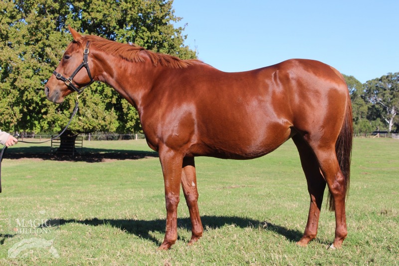 Jokes n Jazz (USA) - photo 1