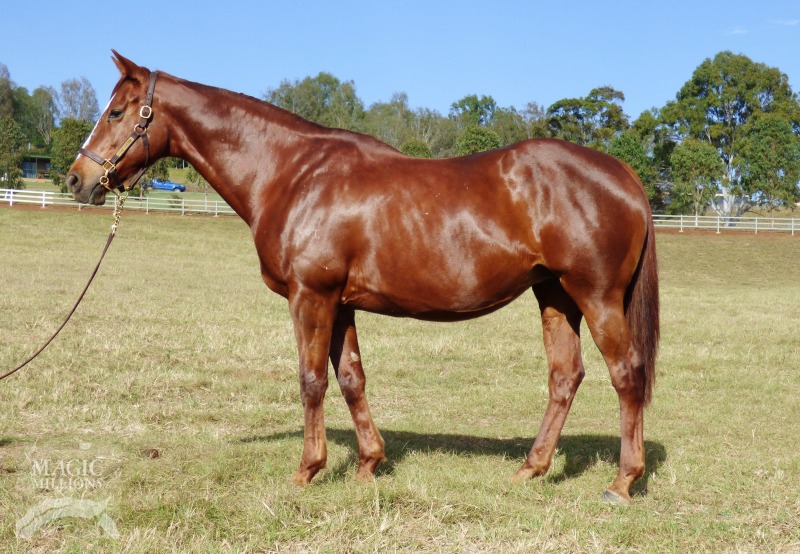 Journey (AUS) - photo 1