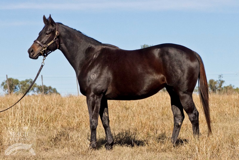 Kipsang (AUS) - photo 1