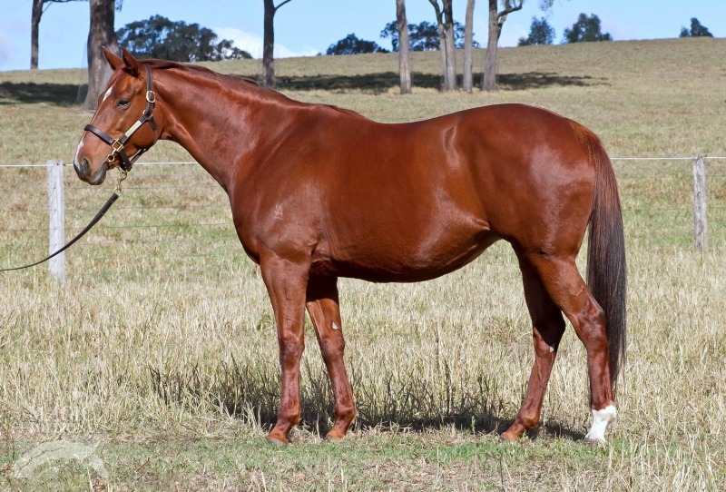 La Fluorescent (NZ) - photo 1