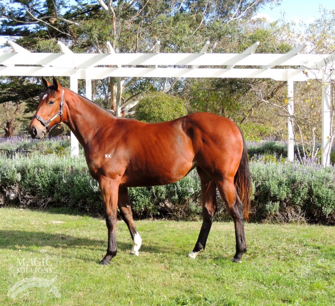 Stratum (AUS) / Mrs Tangles (AUS) - photo 1