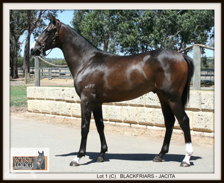 Blackfriars (AUS) / Jacita (AUS) - photo 1