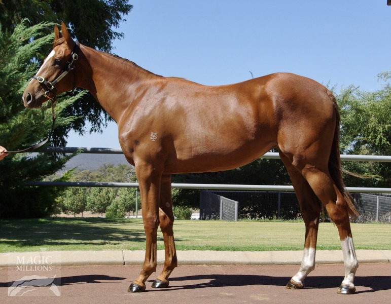 Belle Winter (AUS) - photo 1