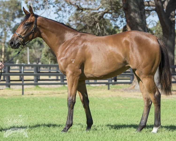 Blackfriars (AUS) / I Do Believe (AUS) - photo 1