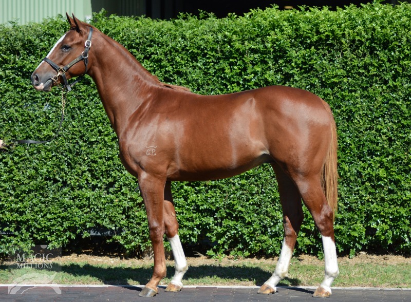 Show a Heart (AUS) / Our Sea (USA) - photo 1